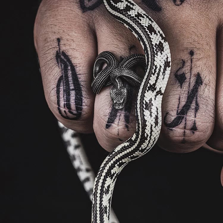 WorldNorse Unleash Your Fierce Side Twisted Viper Ring - image 1