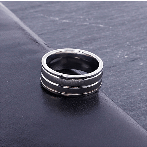 WorldNorse Titanium Steel Brushed Ring