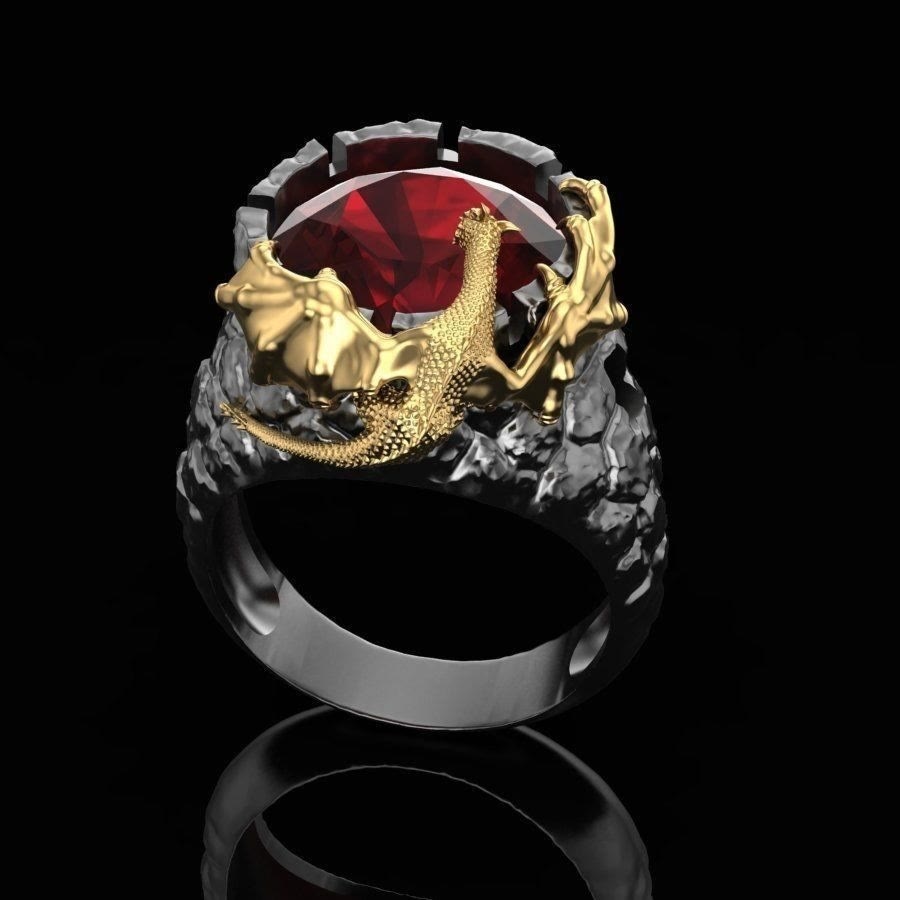 FREE Today: The Dragon's Ruby Ring