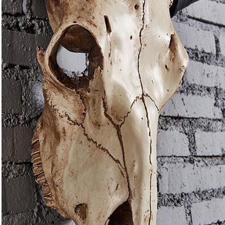 WorldNorse Animal Head Long Horn Skull Wall Decor