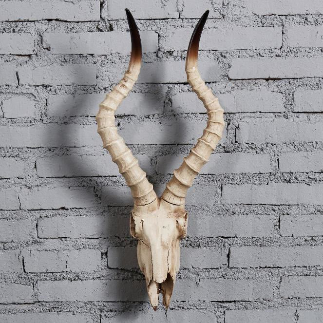 WorldNorse Faux Long Horn Ram Skull Decor