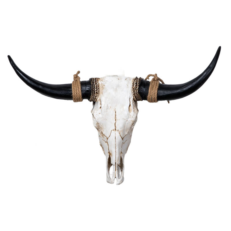WorldNorse Long Horn Cow Skull Wall Decor - Black Horn - Disassembled - image 0
