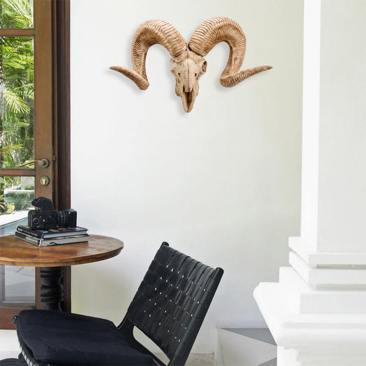 WorldNorse Curl Horn Ram Sheep Skull Decor