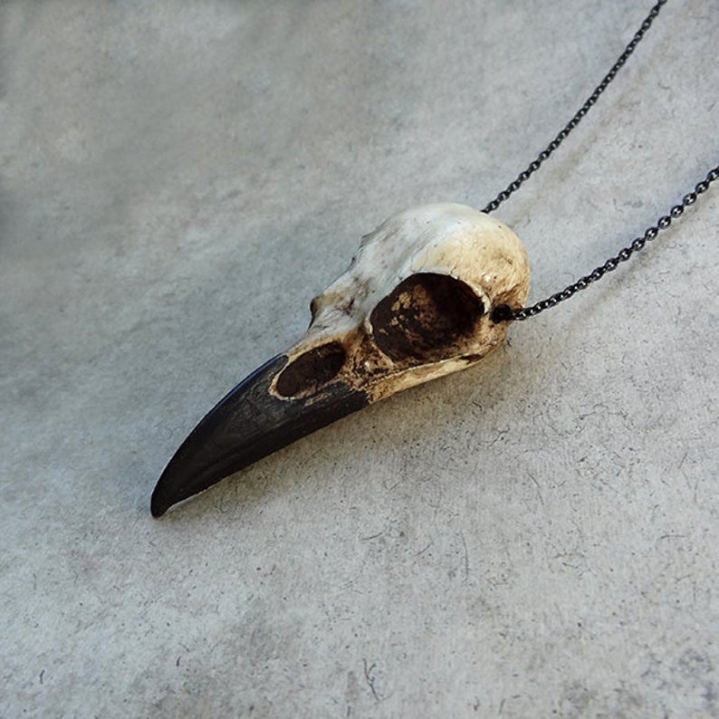 WorldNorse The Raven's Crow Skull Gothic Necklace