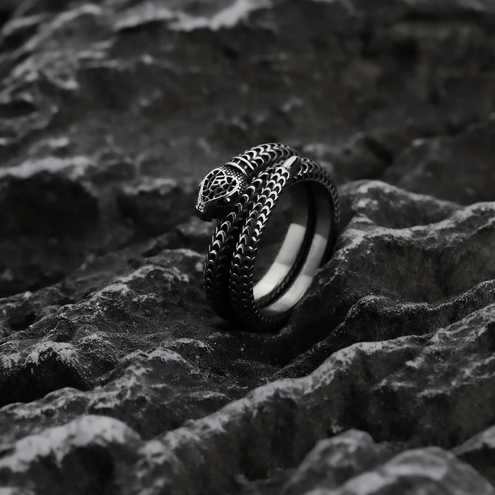 WorldNorse Snake King Titanium Steel Coil Ring