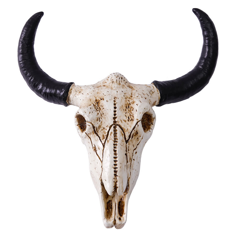 WorldNorse Horn Skull Wall Hanging Ornament