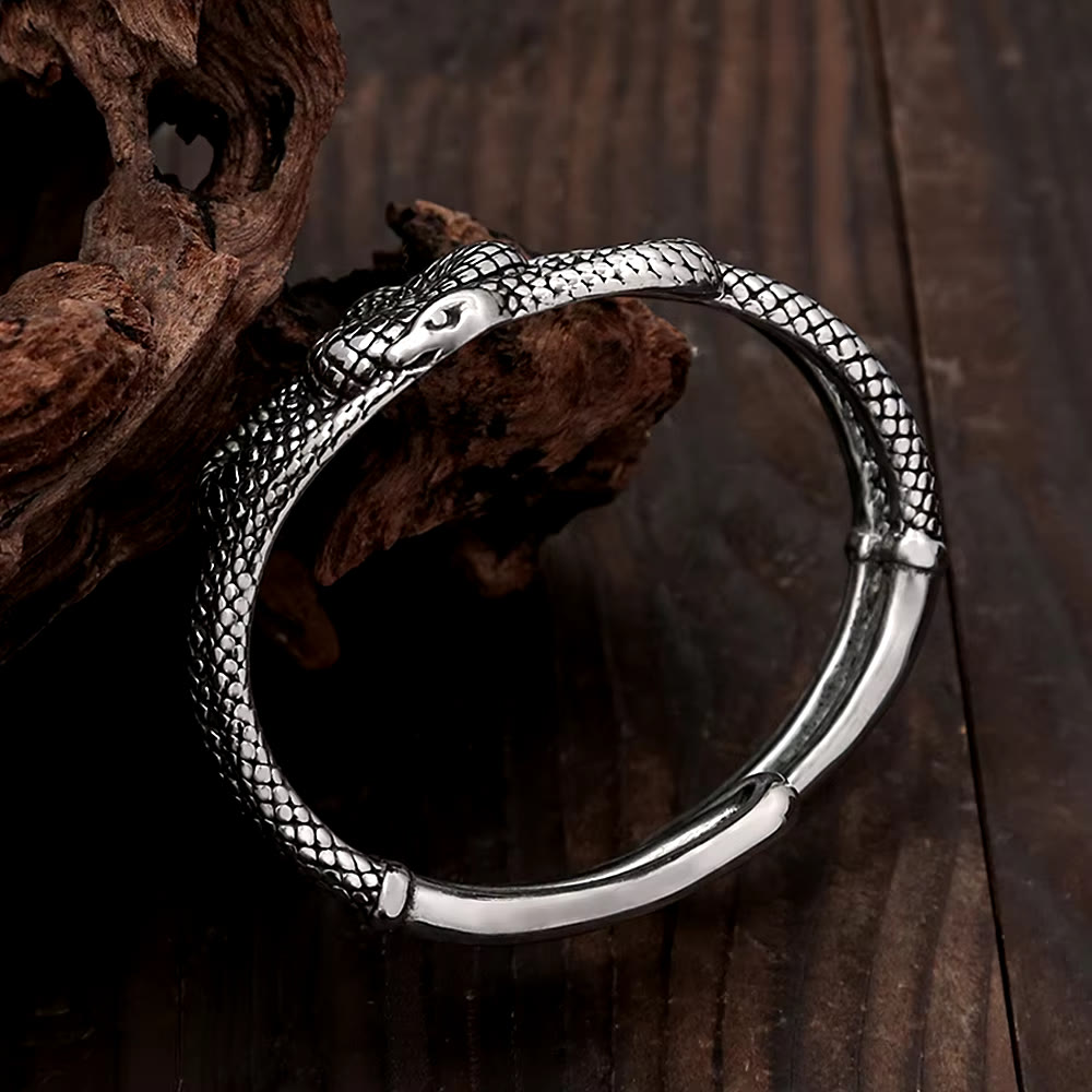 WorldNorse Twin Snake Coil Bracelet