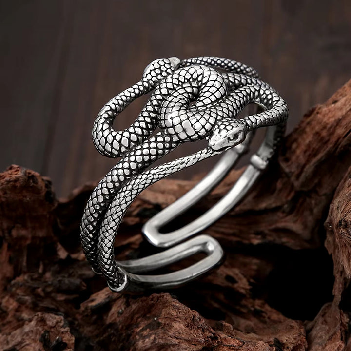 WorldNorse Twin Snake Coil Bracelet