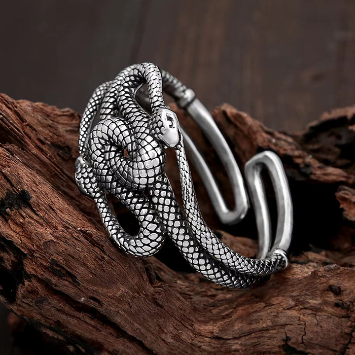 WorldNorse Twin Snake Coil Bracelet