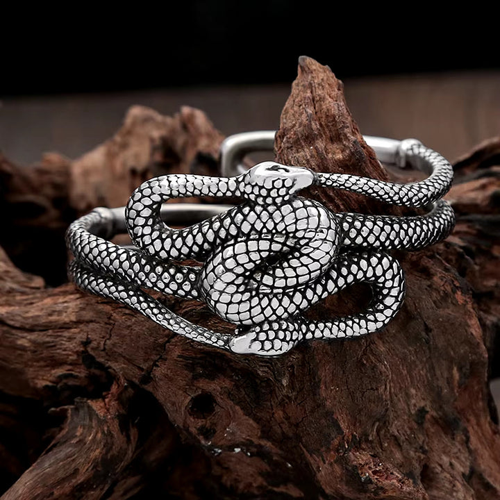 WorldNorse Twin Snake Coil Bracelet