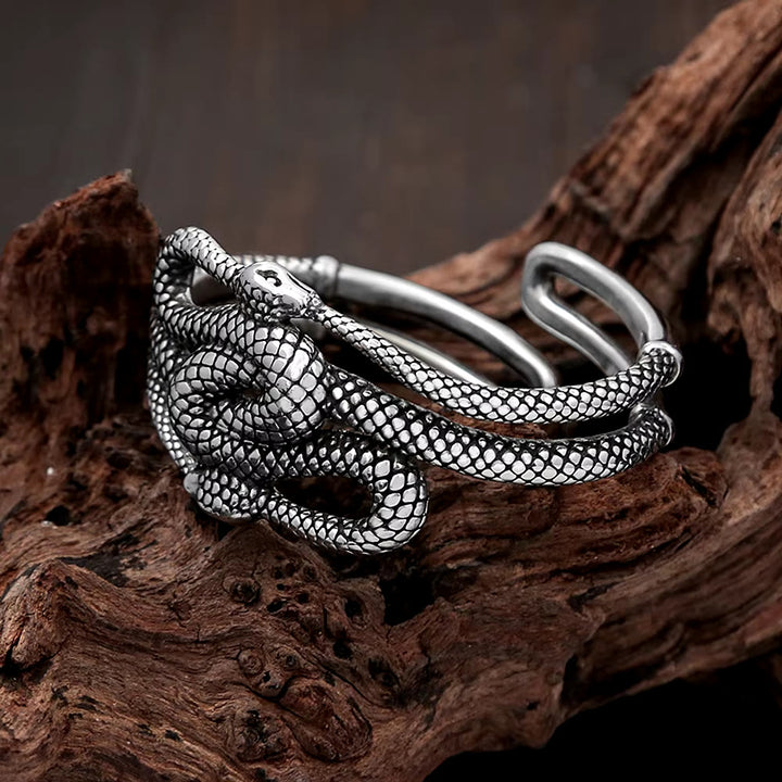 WorldNorse Twin Snake Coil Bracelet