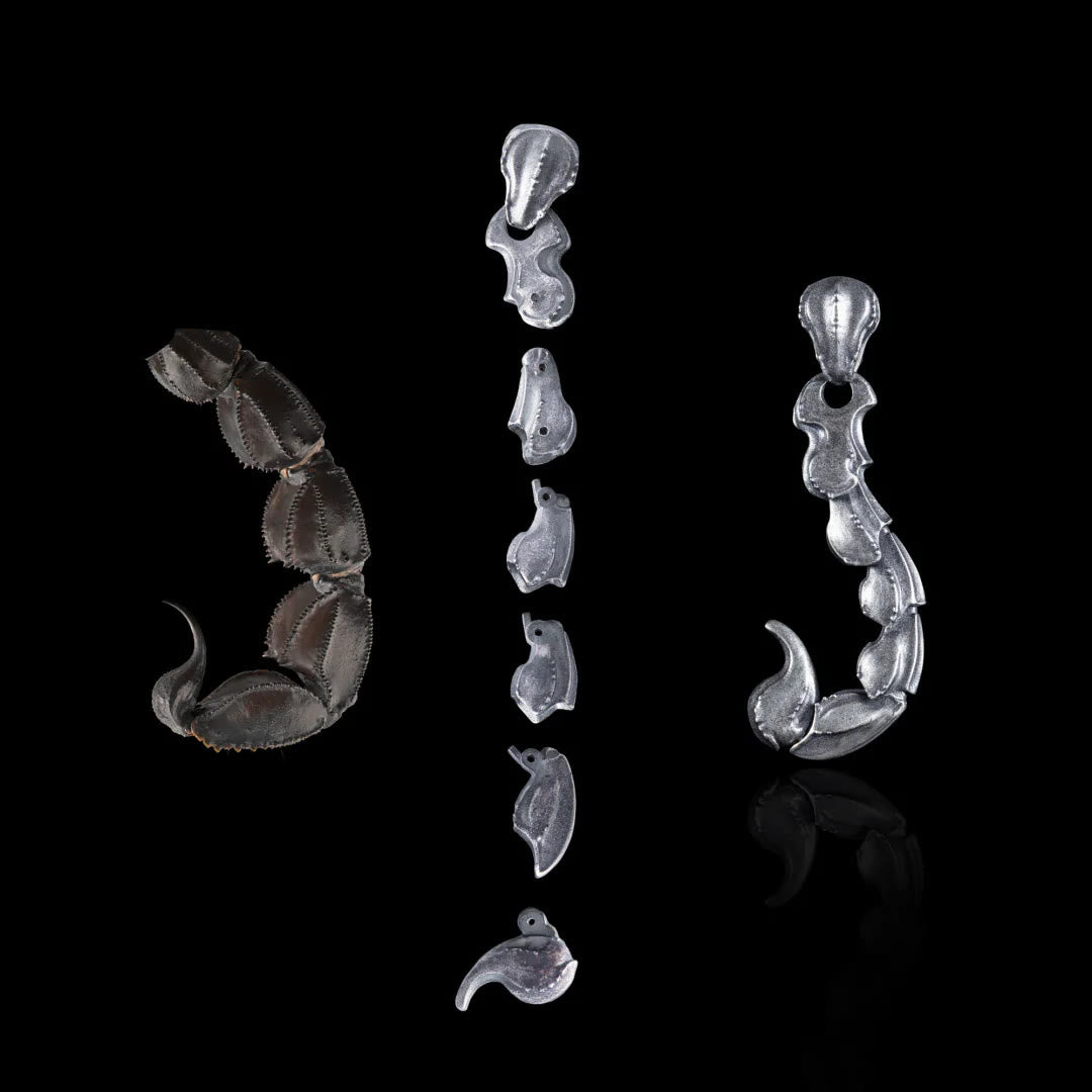FREE Today: Scorpion Tail Earrings / Necklace