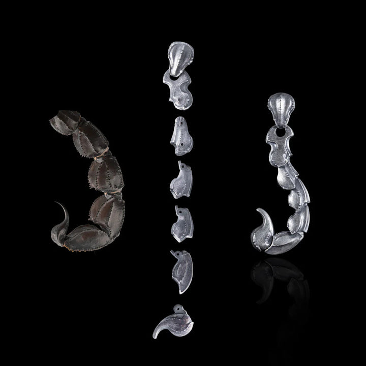 FREE Today: Scorpion Tail Earrings / Necklace