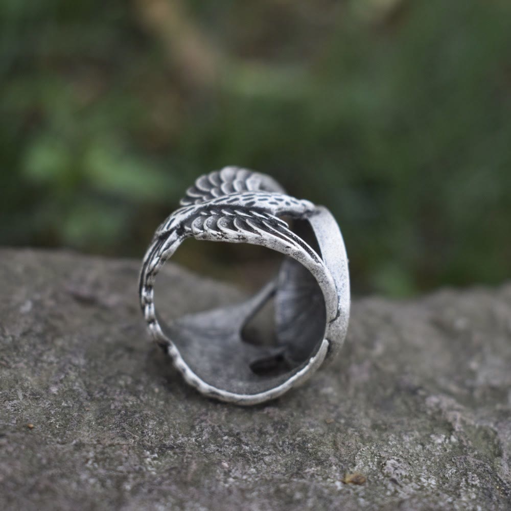 FREE Today: Vegvisir Futhark Runes Nordic Amulet Ring
