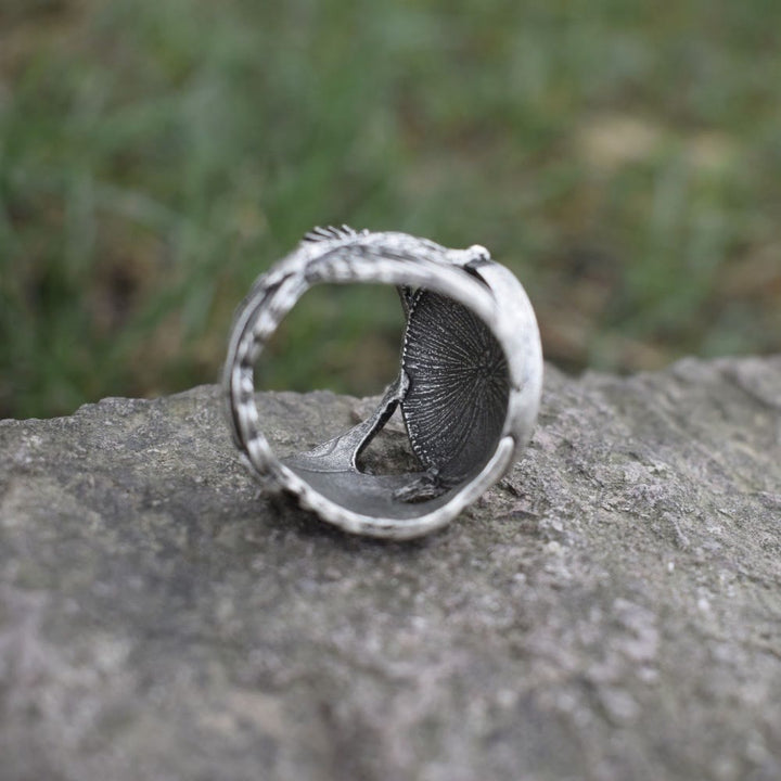 FREE Today: Vegvisir Futhark Runes Nordic Amulet Ring