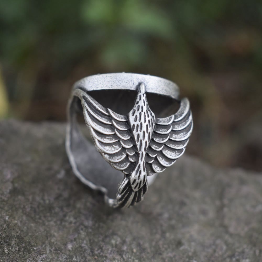 FREE Today: Vegvisir Futhark Runes Nordic Amulet Ring