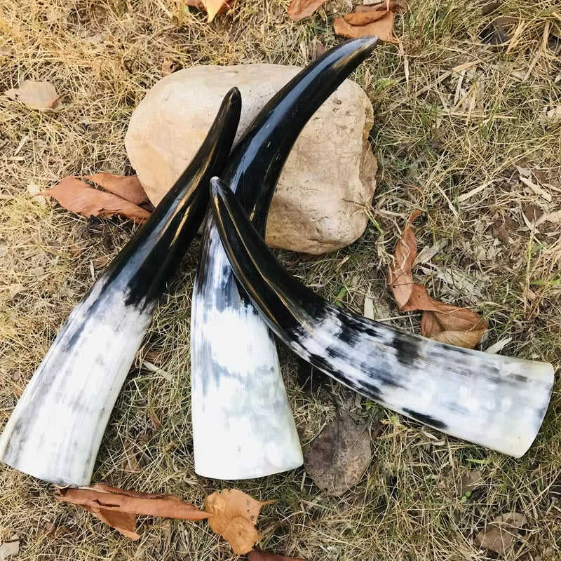 WorldNorse Handcrafted Authentic Drinking Horn - image 4