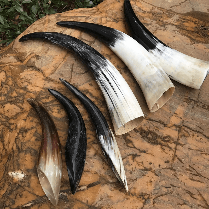 WorldNorse Handcrafted Authentic Drinking Horn - image 1