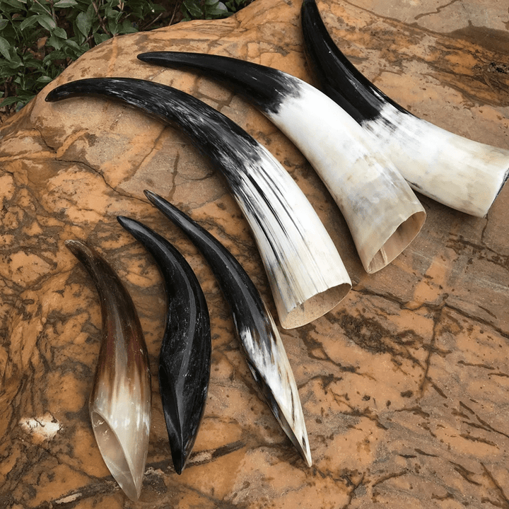 WorldNorse Handcrafted Authentic Drinking Horn - image 1