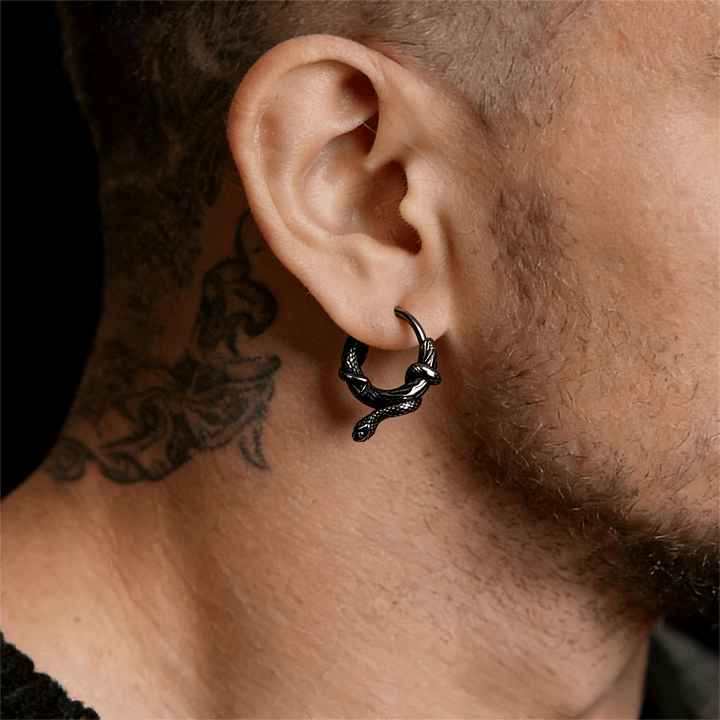 FREE Today: Coiled Serpent Twisted Earrings - image 1