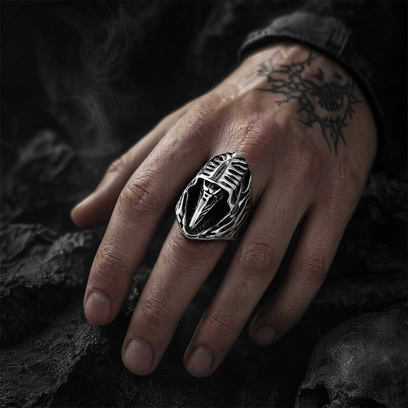 FREE Today: Midnight Cloak Raven Skull Viking Ring - image 1