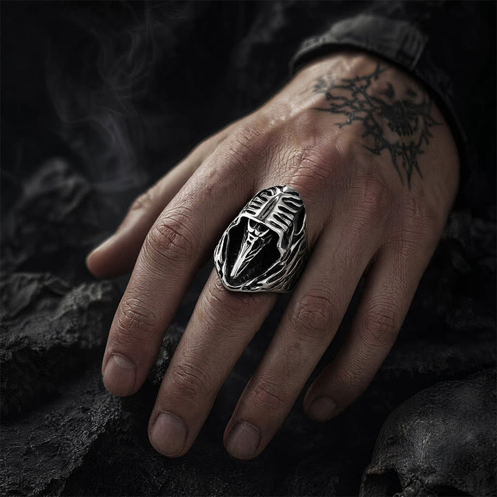 FREE Today: Midnight Cloak Raven Skull Viking Ring - image 1