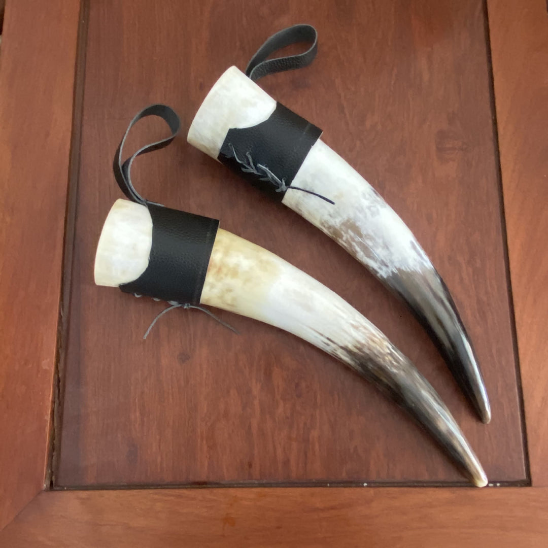 WorldNorse Handcrafted With Stand Drinking Horn