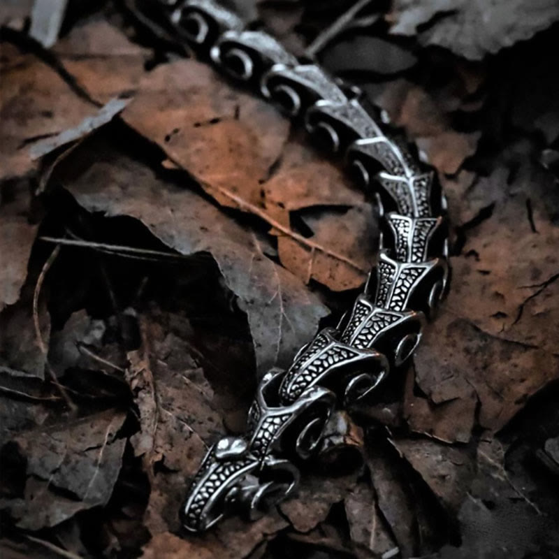 FREE Today: "Mysterious Power" Stainless Steel Dragon Tail Bracelet