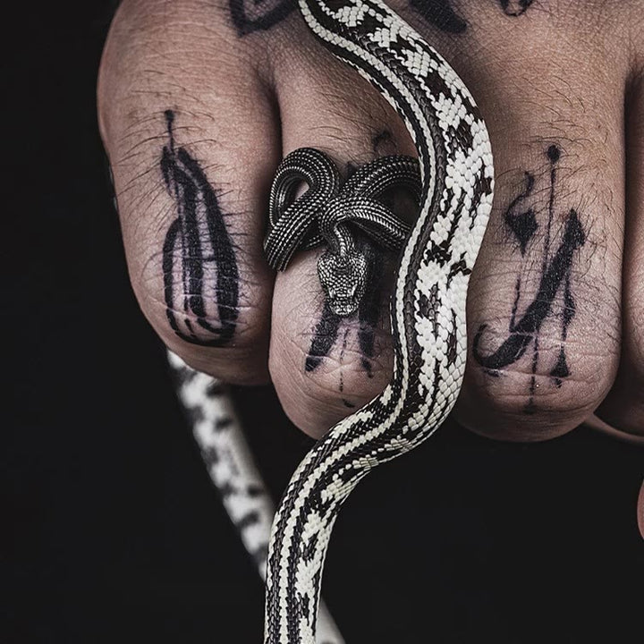 WorldNorse Unleash Your Fierce Side Twisted Viper Ring