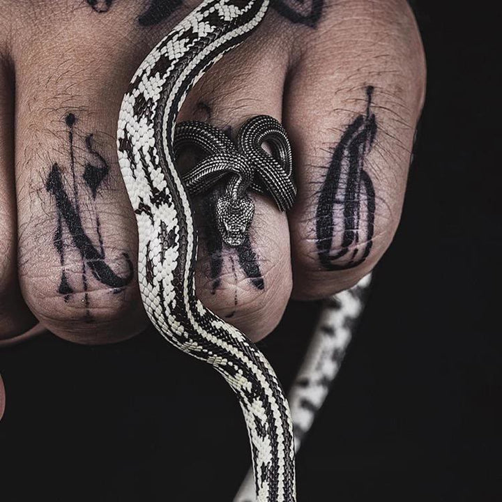 WorldNorse Unleash Your Fierce Side Twisted Viper Ring