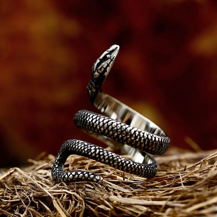 FREE Today: Coiled Snake Stainless Steel Ring